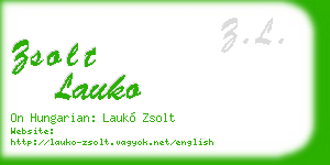 zsolt lauko business card